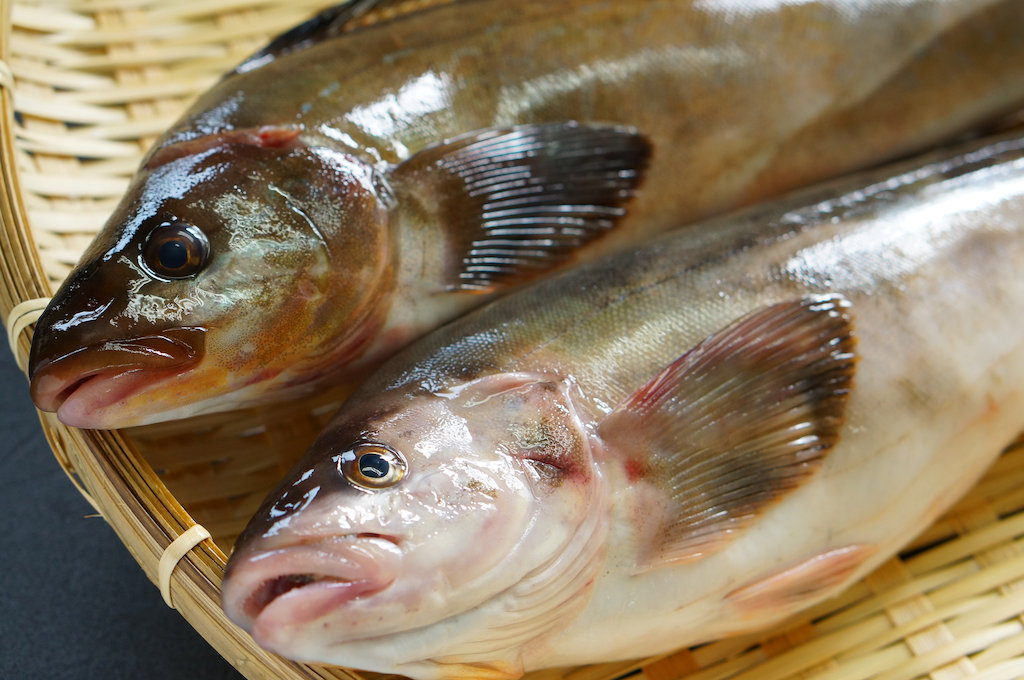 真ほっけ 亀尾鮮魚店