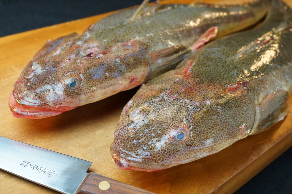 コチ 亀尾鮮魚店